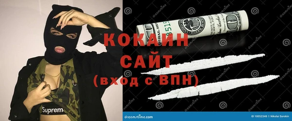 соль ск Сосновоборск