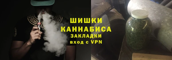 шишки Мегион