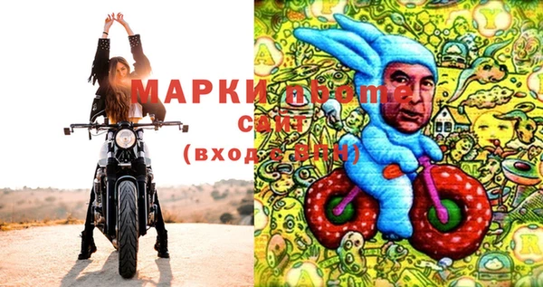шишки Мегион