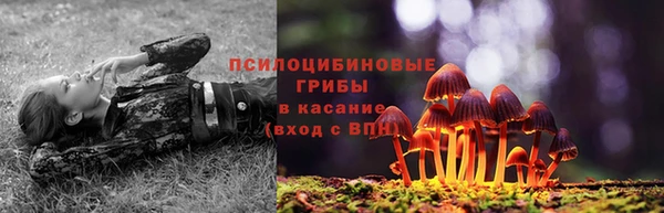 шишки Мегион