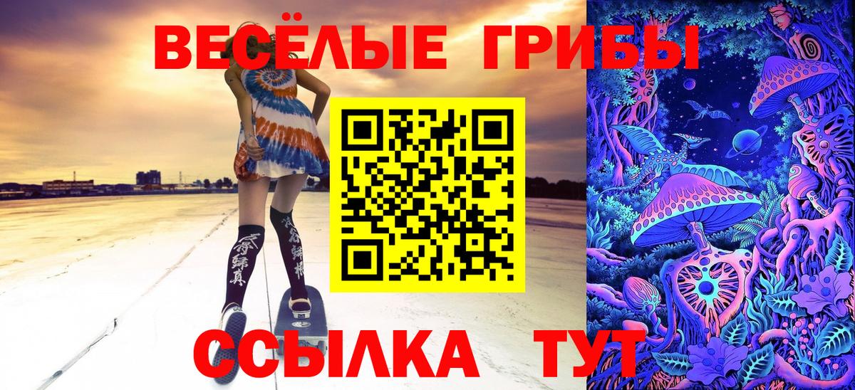 Псилоцибиновые грибы MAGIC MUSHROOMS Азнакаево