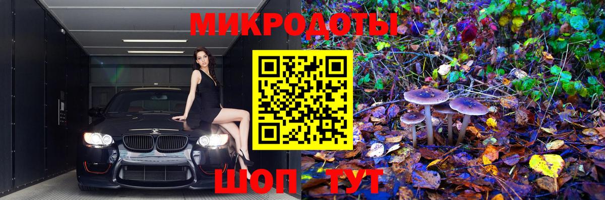 Азнакаево  Псилоцибиновые грибы Psilocybine cubensis  Вход с VPN 